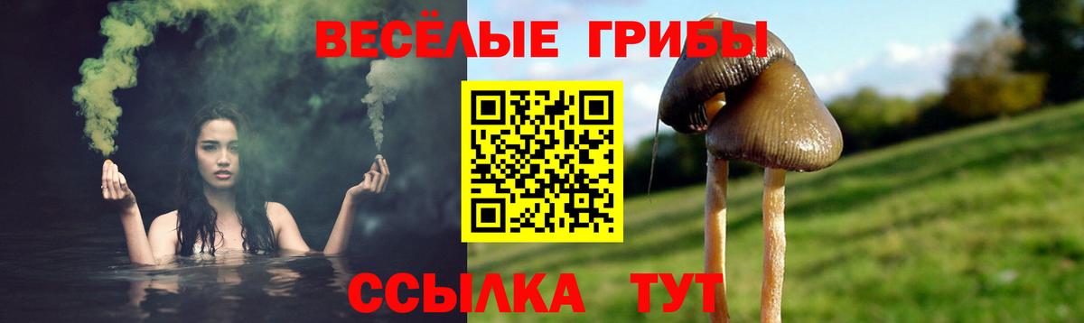 Галлюциногенные грибы ЛСД  Вход с VPN  Воскресенск 